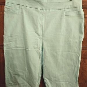 Kim Roger's turquoise tummy control shorts.